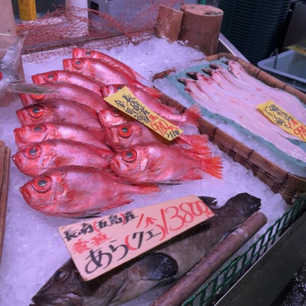 【マリンセンターおさかな村】鮮魚コーナーをぐるりと一周！【朝どれ鮮魚】