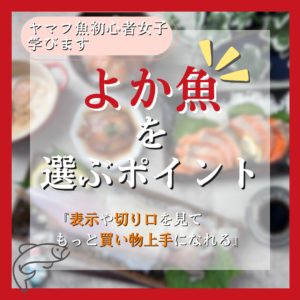 【ヤマフ魚初心者女子 ”学びます”】～よか魚を選ぶコツ～